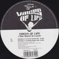 The Word Is Love (Mixes by Mousse T. & Steve 'Silk' Hurley)