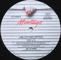 Are You Mad Enough / New York