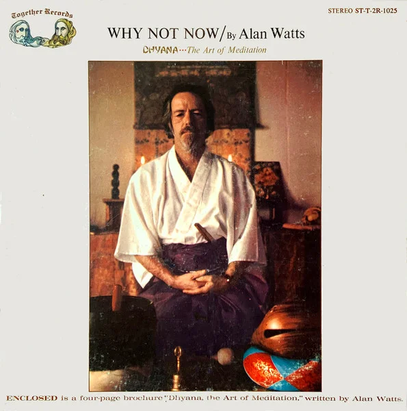 Why Not Now - Dhyana...The Art Of Meditation