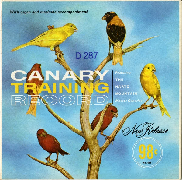 Canary Training Record