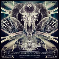 Changing Shapes Of Consciousness
