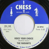 Voice Your Choice / Dear One
