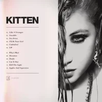 Kitten