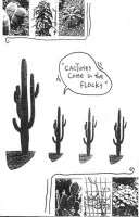 Cactuses Come In The Flocks