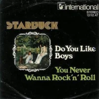 Do You Like Boys / You Never Wanna Rock 'N' Roll