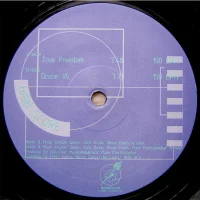 True Freedom / Drone VII
