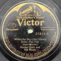 Where The Shy Little Violets Grow / A Night Of Memories