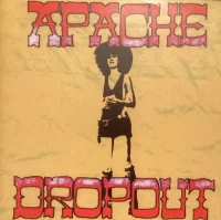 Apache Dropout