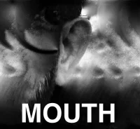 Mouth