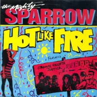 Hot Like Fire