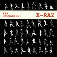 X-Ray