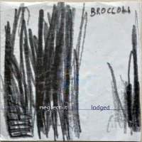 Neglect It / Lodged