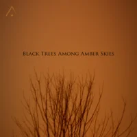 Black Trees Among Amber Skies
