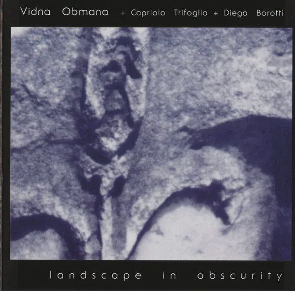 Landscape In Obscurity