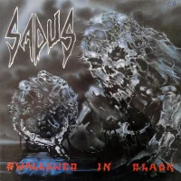 Swallowed In Black
