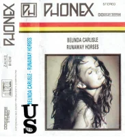 Runaway Horses
