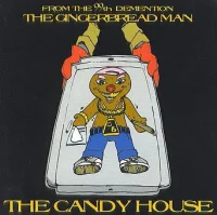The Candy House
