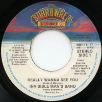 Really Wanna See You