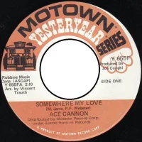Somewhere My Love / Strangers In The Night
