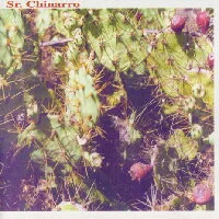 Sr. Chinarro