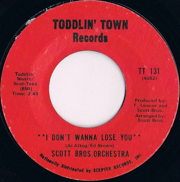 I Don't Wanna Lose You