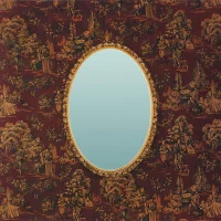 Fevers And Mirrors