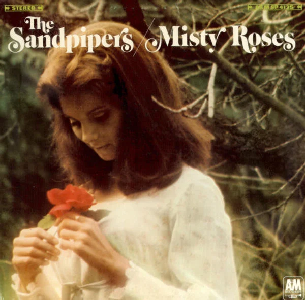 Misty Roses