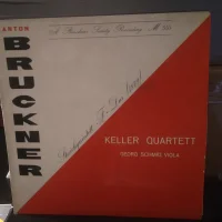 Streichquintett F-Dur (1879)
