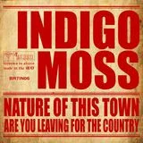 Nature Of This Town / Are You Leaving For The Country