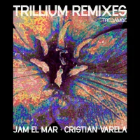 Trillium Remixes
