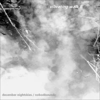 Vibrating Walk 6