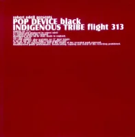 Black / Flight 313