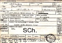 SCHizophrenia (Otpusnica)