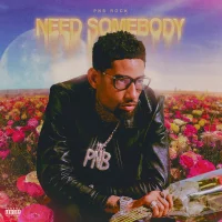 I Need Somebody