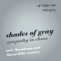 Sympathy In Chaos
