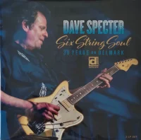 Six String Soul 30 Years On Delmark