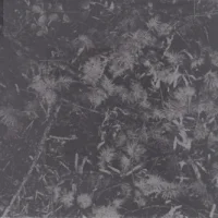 Poisoned Soil