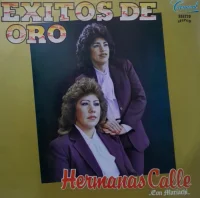 Exitos De Oro