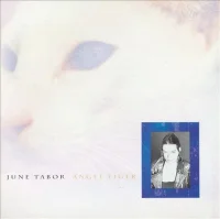 Angel Tiger