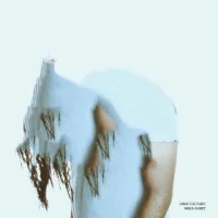 Wild Quiet