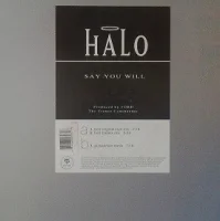 Say You Will