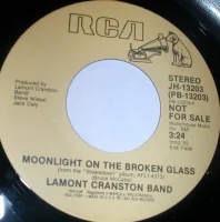 Moonlight On The Broken Glass
