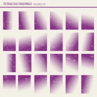 Tetracosa Ensemble, Volumes 5-8