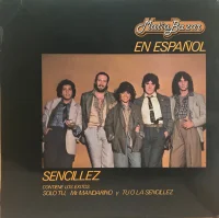 Matia Bazar En Español (Sencillez)