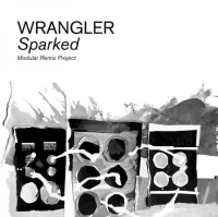 Sparked (Modular Remix Project)