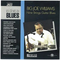 Nine Strings Guitar Blues