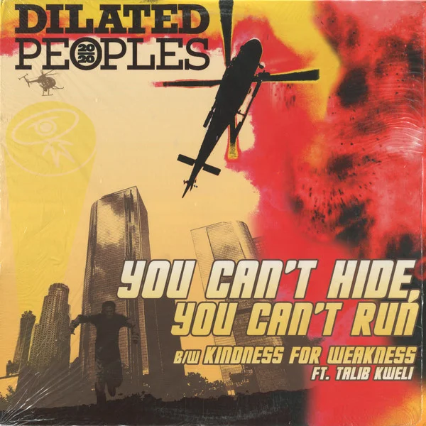 You Can't Hide, You Can't Run