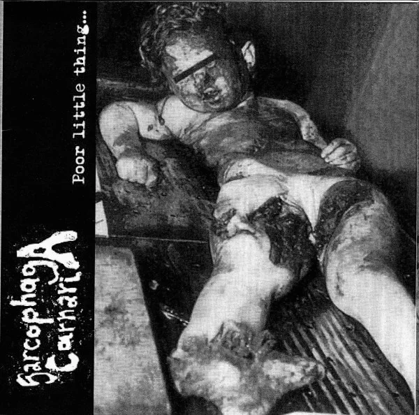 Poor Little Thing... / Small Cut In... ...Your Flesh