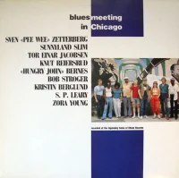 Bluesmeeting In Chicago