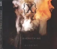 Everything Is Burning (Metanoia Addendum)